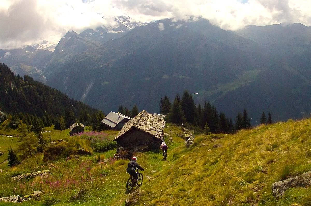 Biking single track in the alps