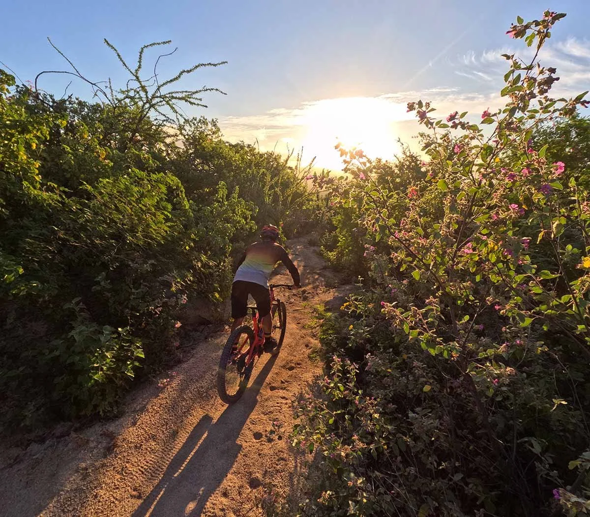 Mountain biking in hot weather