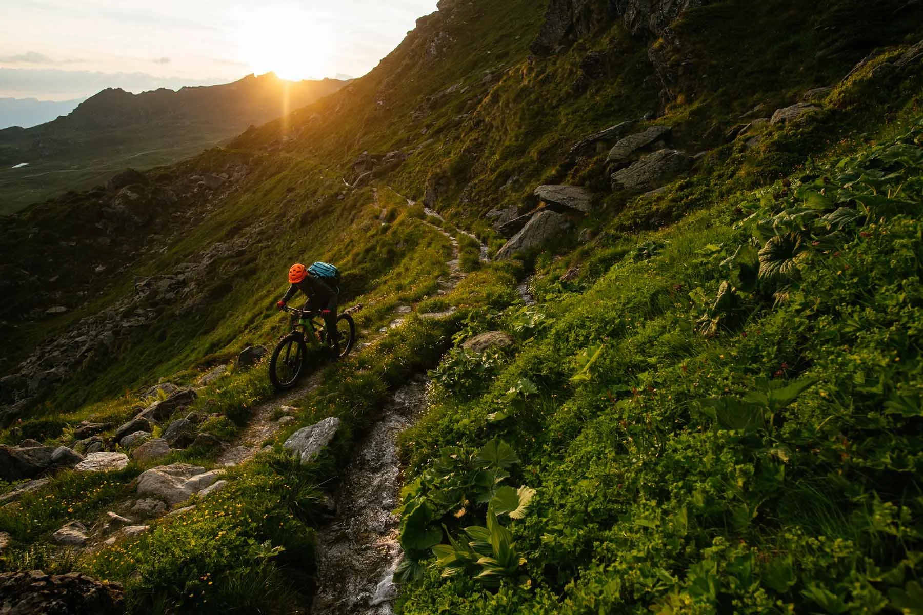 Photo example of utilizing sunlight to amplify photography