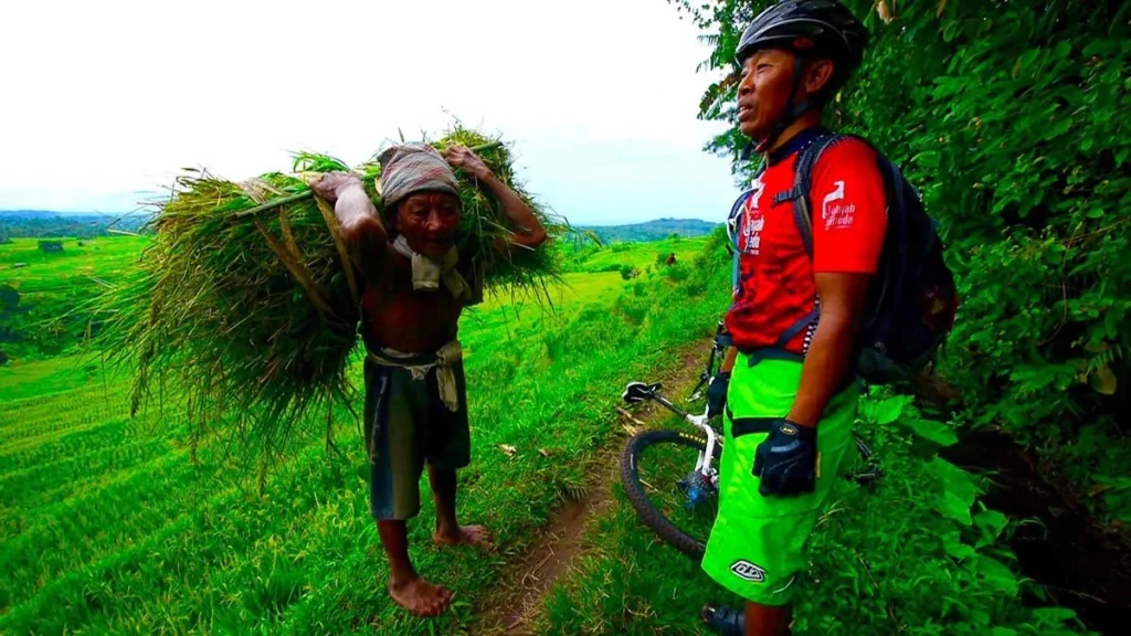 Riding in rice fields