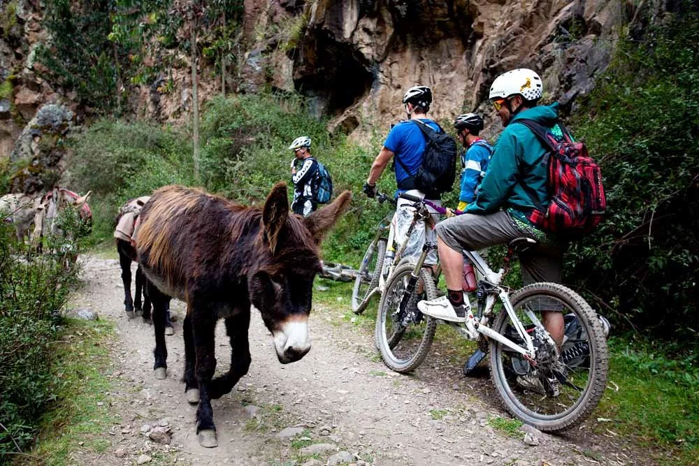 sharing the trails in peru with locals