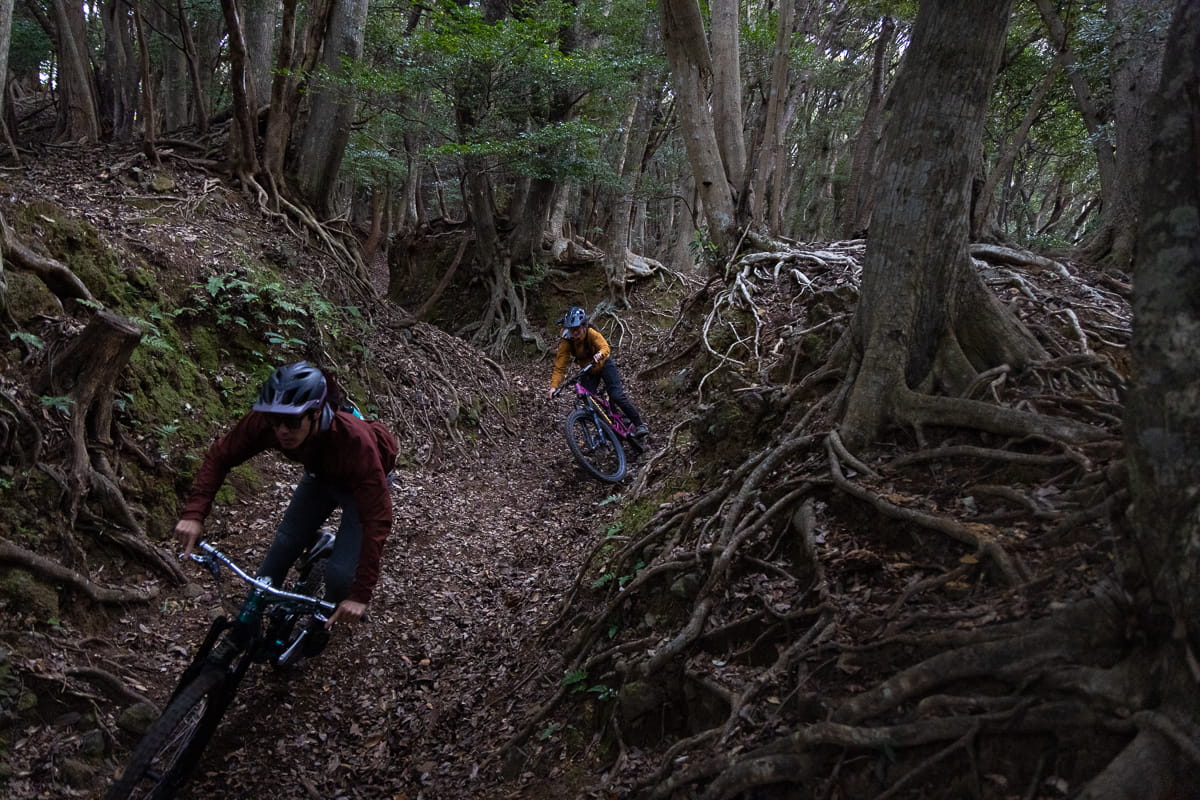 Ride Shizuoka on the Pacific Coast