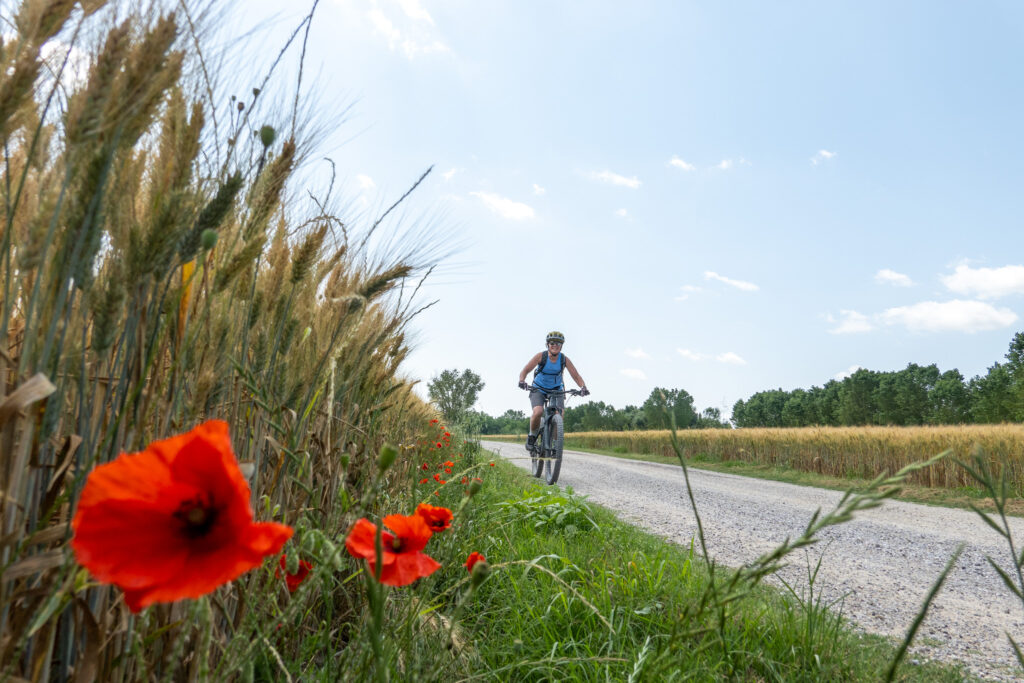 Happy female mountain biker