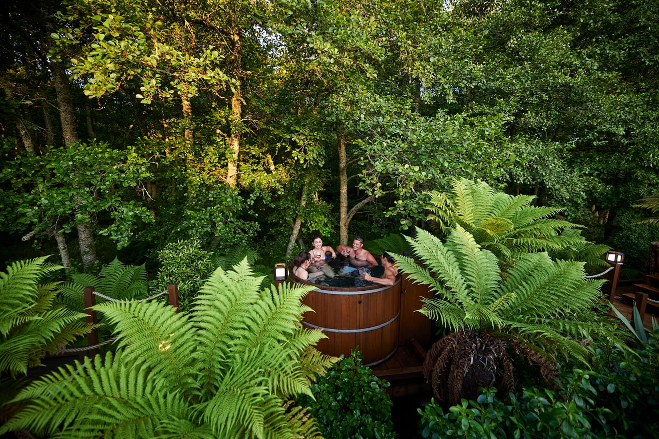New Zealand Middle Earth Gallery 2