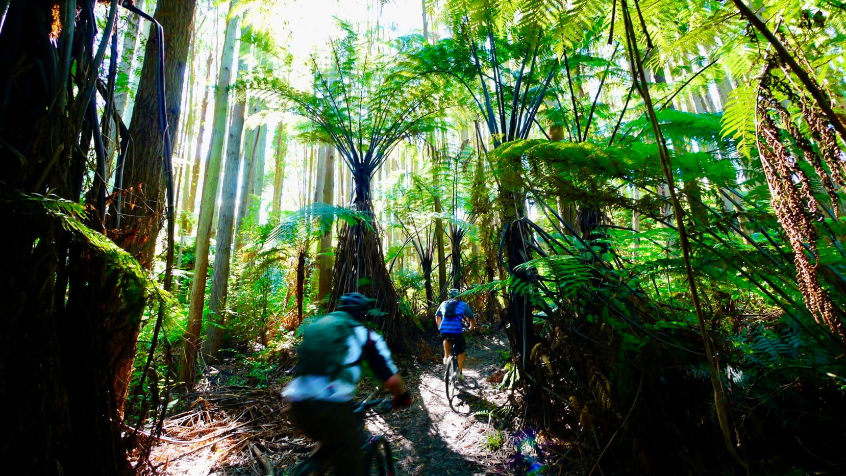 New Zealand Day 8